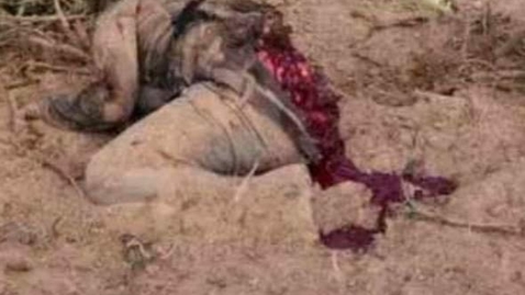 Thumbnail for Slaughtered by Hamas