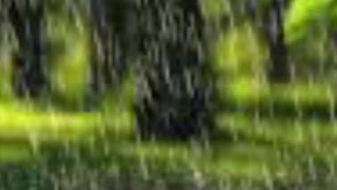 Thumbnail for WhatsApp Video 2023-12-04 at 07.53.47